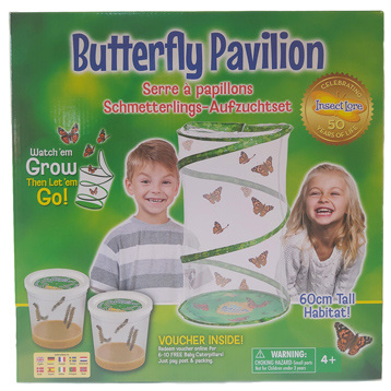 Live Butterfly Pavilion Hatching Kit From Insect Lore Wwsm
